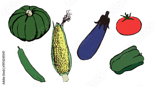 筆ペンで描いた野菜、日本の夏野菜