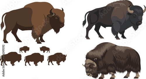 Bison and Yak Collection with Silhouettes and Detailed Variations Wild Mammal Flat Vector Illustrations for Wildlife, Nature and Animal Design Projects.