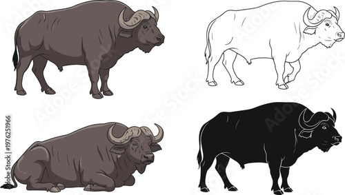 Buffalo Set with Standing, Sitting and Silhouette Variations Detailed Farm Animal Vector Illustrations for Agriculture, Livestock, Branding and Rural Design Projects.