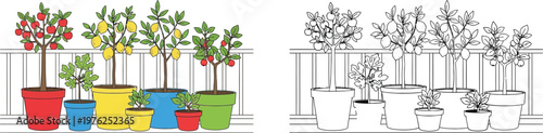 Potted Fruit Trees on a Balcony Railing Apples Lemons and Figs Color and Outline