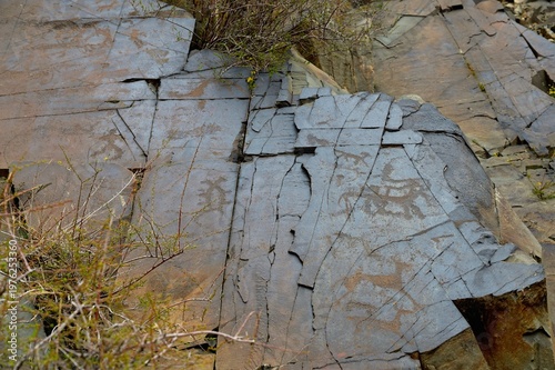 Bulls, goats, horses, people. Ancient rock carvings - Petroglyphs of Tanbaly,
Almaty Region, Zhambyl District, Matibulak Rural District District, Matibulak Rural District
