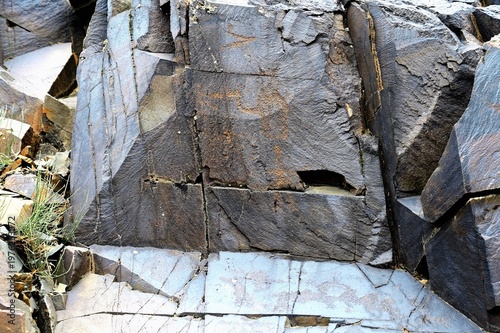 Bulls, goats, horses, people. Ancient rock carvings - Petroglyphs of Tanbaly,
Almaty Region, Zhambyl District, Matibulak Rural District District, Matibulak Rural District
