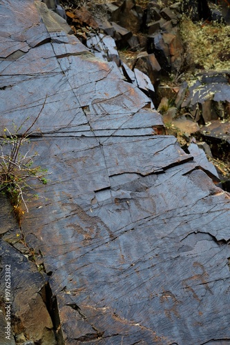 Bulls, goats, horses, people. Ancient rock carvings - Petroglyphs of Tanbaly,
Almaty Region, Zhambyl District, Matibulak Rural District District, Matibulak Rural District