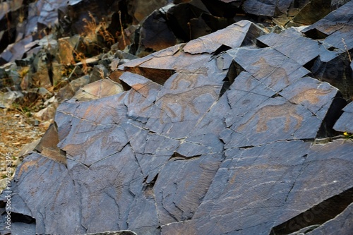 Bulls, goats, horses, people. Ancient rock carvings - Petroglyphs of Tanbaly,
Almaty Region, Zhambyl District, Matibulak Rural District District, Matibulak Rural District
