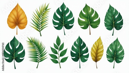 A collection of colorful tropical leaves on a clean white surface, ideal for use in designs and layouts where a natural, earthy feel is desired