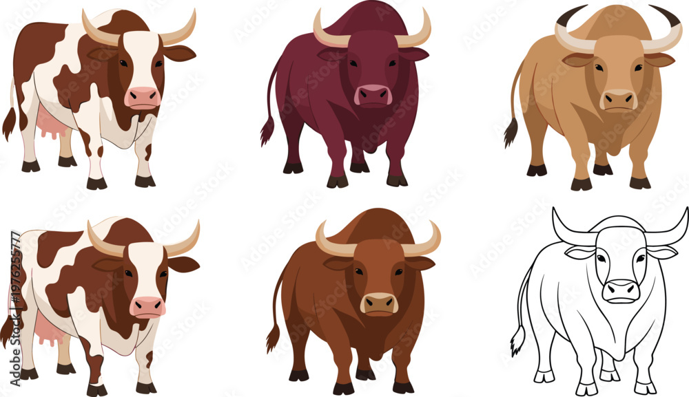 Fototapeta premium Cow and Bull Collection with Different Colors and Line Art Variation Front View Farm Animal Flat Vector Illustrations for Agriculture and Livestock Design Projects.