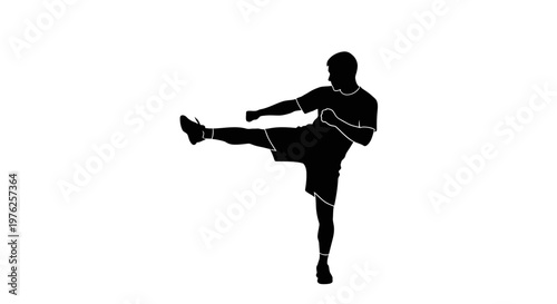 Silhouette of a Person Performing a Dynamic Side Kick in Martial Arts Training
