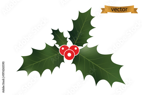 A sprig, four leaves, of green holly and red berries for Christmas decoration isolated against a transparent background