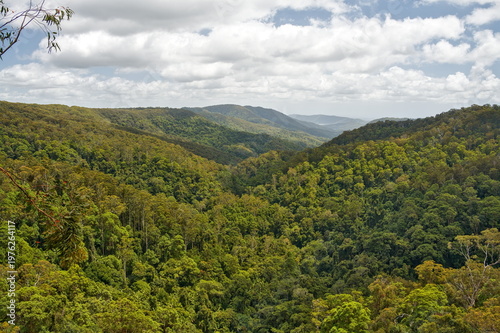 Obraz na płótnie Panoramic view of Purling Brook Falls rainforest valley in Springbrook National