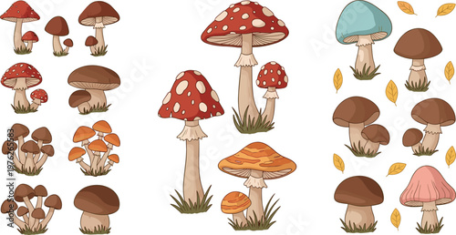 Hand Drawn Mushroom Collection with Various Forest Fungi Types Including Amanita Boletus and Wild Toadstools in Autumn Nature Style