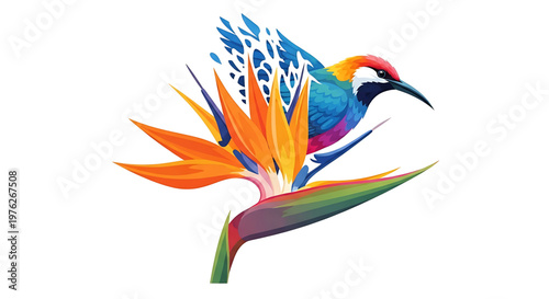 A colorful bird perched on a vibrant bird of paradise flower in a stylized vector illustration