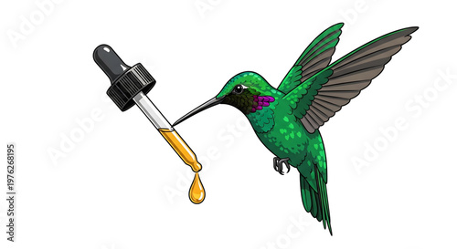 A colorful illustration of a hummingbird drinking from a dropper