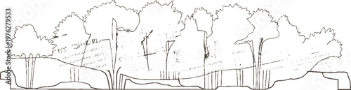 Hand drawn of trees and rocky ground with textured background foliage leaves branches trunks