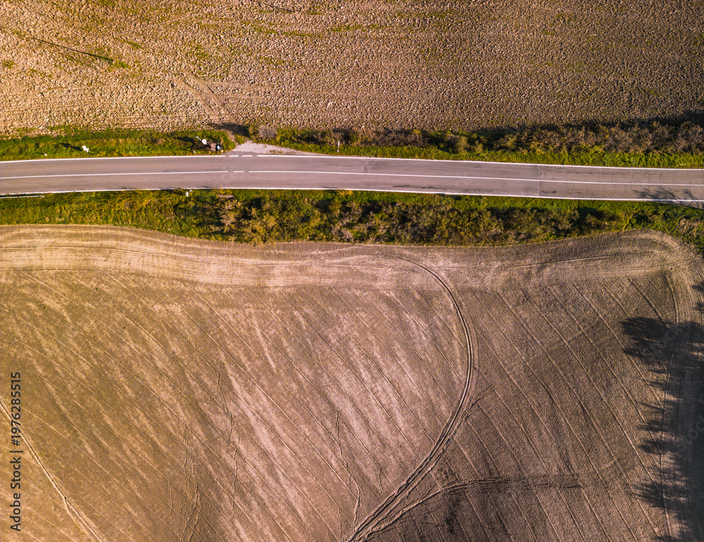 Fototapeta premium Rural road dividing agricultural fields in Tuscany, Italy.