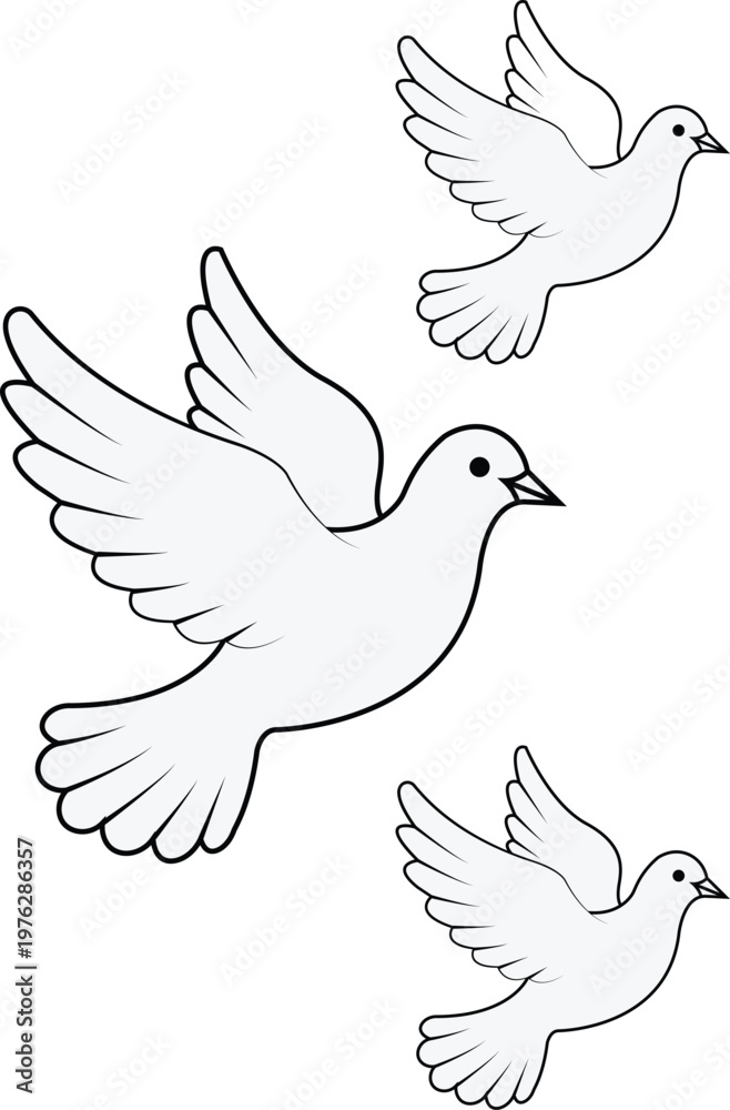 Obraz premium Flying Doves White bird Illustration Pigeon Outline Set 