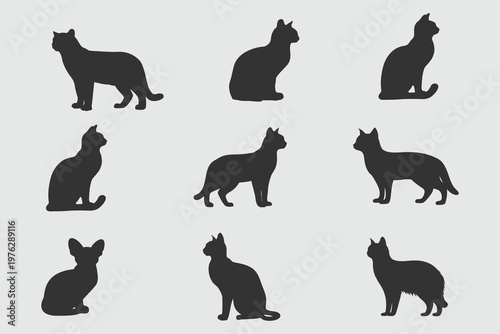 cat silhouette set vector illustration. Isolated black of an cats collection vector.