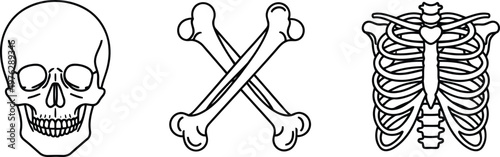 Vector of Human skull anatomy crossed bones warning rib cage skeleton medical vector illustration