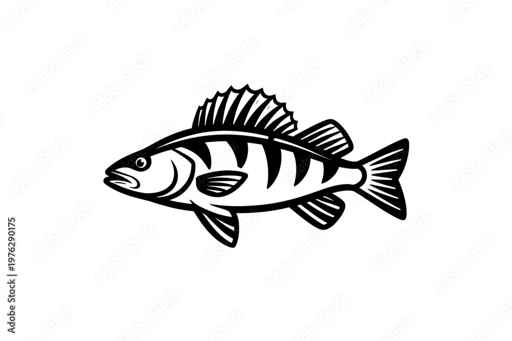 Fototapeta premium Black and white illustration of a striped fish with fins and tail swimming left on plain background