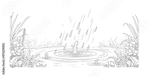 Black and white of raindrops falling a pond with flowers and grass water ripples