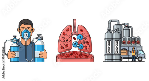 Oxygen Therapy & Production: Lungs, Patient, and Plant