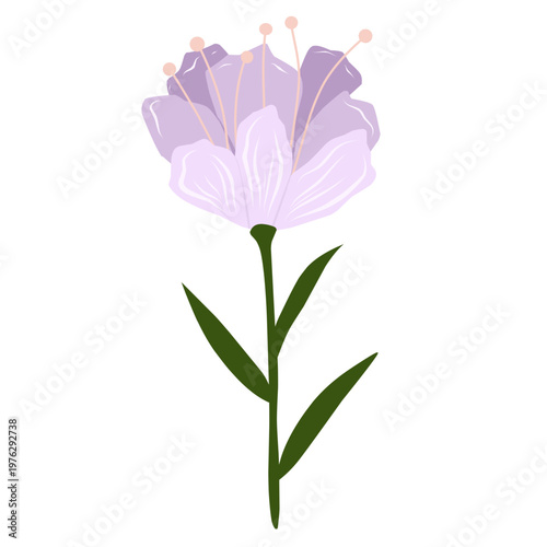 Spring violet flower vector illustration. Beautiful flower, best for spring or summer theme design. Lily flower