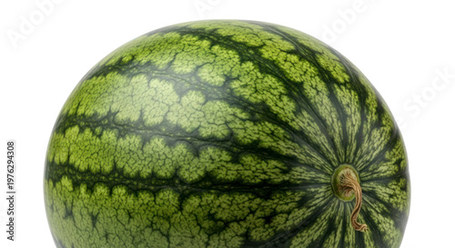Close-up shot of a ripe green watermelon with dark stripes isolated on white background.
