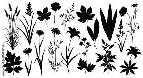 Collection of various floral and plant shapes in black silhouette