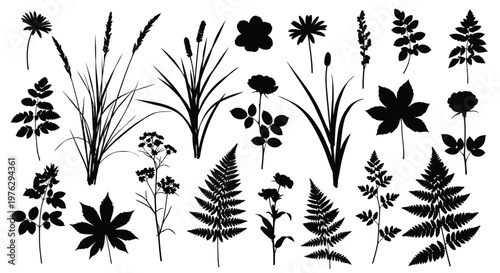 Various plant and floral designs arranged together a black silhouette