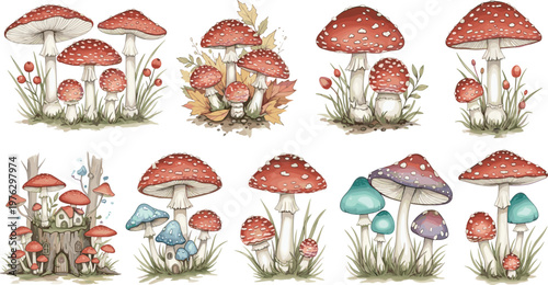 Whimsical Mushroom Collection with Hand Drawn Forest Toadstools and Botanical Woodland Elements for Autumn, Cottagecore, and Nature Design Projects`