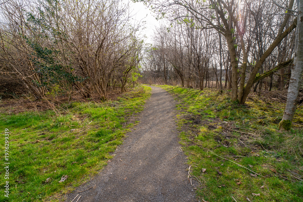Fototapeta premium Cuningar Loop in Rutherglen is woodland park on the River Clyde, Scotland, UK featuring several easy, flat walking trails, including a popular boardwalk, a woodland meadow loop, and riverside paths. 