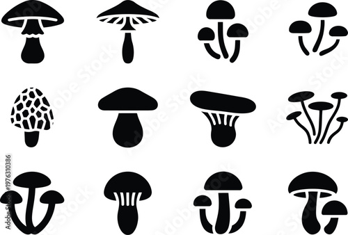 Various mushroom species silhouette icon collection for nature and food