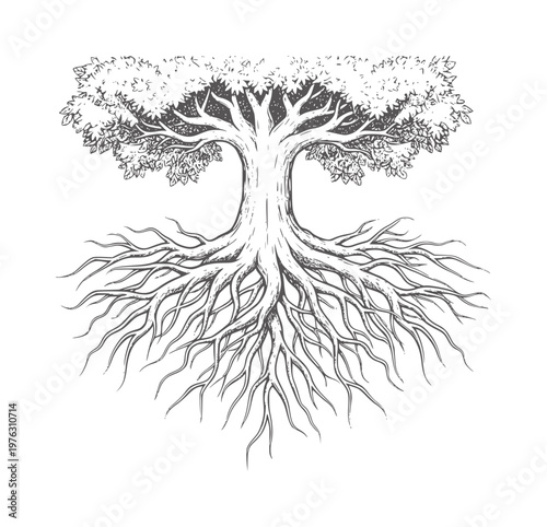 Ink of a large tree with extensive roots spreading outwards nature organic