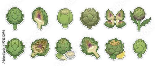 Artichokes vector illustration set depicting whole, cut, grilled, and cooked artichokes with dipping sauce and lemon, showcasing various culinary preparations.