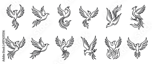 Phoenix bird line art illustrations set, featuring various mythical firebirds in different poses, symbolizing rebirth, power, and strength.