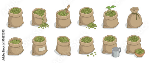 Green beans in burlap sacks illustration set depicting various stages of storage, spilling, and growth of legumes.