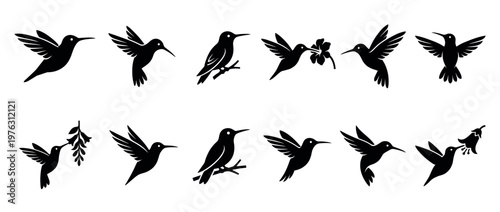 Collection of elegant hummingbird silhouettes in various dynamic poses, including flying, perching, and interacting with blossoms.
