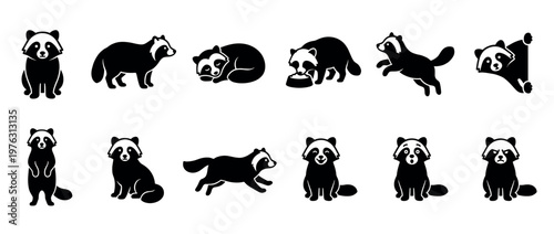 Raccoon icons set showing various poses and emotions, including sitting, standing, sleeping, eating, running, and peeking, in a charming cartoon style.