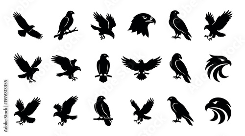 Eagles and hawks vector silhouettes in various dynamic poses, representing strength, freedom, and majestic wildlife.