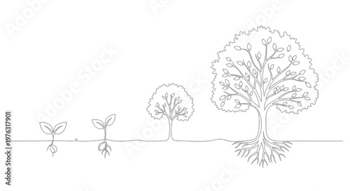 Illustration showing plant growth stages from seedling to large tree