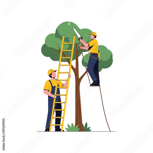Two arborists pruning tree in flat colorful illustration for landscaping services
