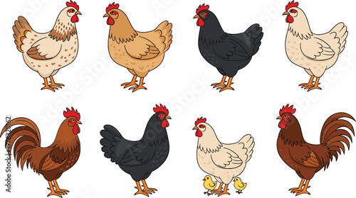 Chicken and Rooster Collection Vector Illustration Set Featuring Farm Poultry Including Hens Roosters and Chicks in Different Poses for Agriculture Design Projects