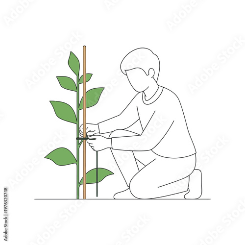 Photos Man tying plant to wooden stake in minimalist line art with green leaves for gar