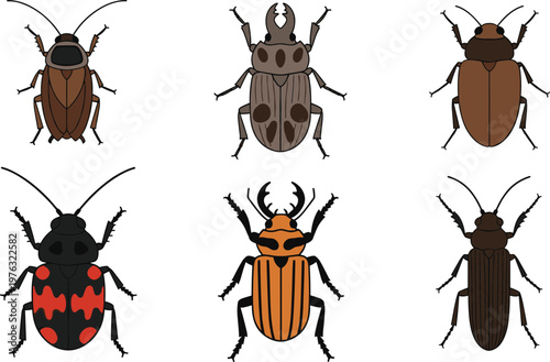 Beetle Insect Collection Vector Illustration Set Featuring Various Bug Species Including Ladybug Longhorn and Ground Beetles for Nature Biology and Entomology Design