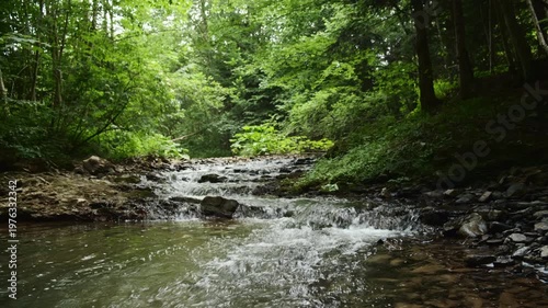 Beautiful mountain river with plants and tree logs at summer time. Nature conservation ecology ecosystems aquatic wildlife drinking water treatment pollution concept