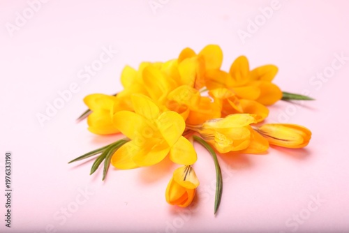 Beautiful crocus flowers on pale pink background, closeup