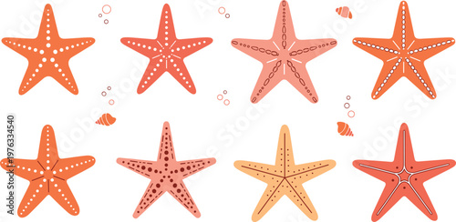 Starfish Vector Illustration Set Featuring Various Sea Star Shapes and Textures for Marine Life Design, Ocean Elements and Underwater Graphic Collection.