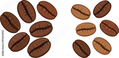 Coffee Beans Collection Vector Illustration Set Featuring Different Roasted Bean Colors and Shapes for Cafe Beverage Branding and Food Design Projects