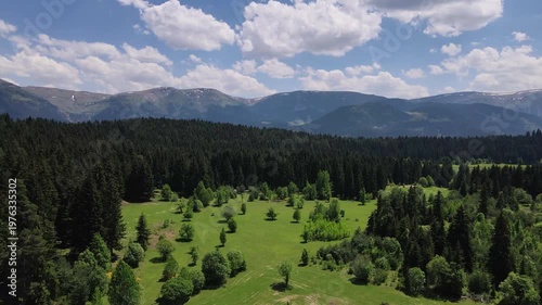 Footage of mountain villages and plateaus located among trees in pine forests.