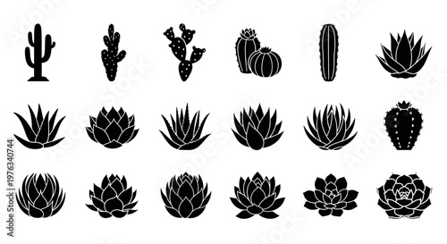 Collection of various cactus and succulent silhouettes.