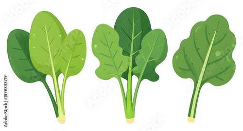 spinachart, leafart, leavesart, vegetableart, greensart, leafyart, plantart, organicart, freshart, healthyart, nutritionart, foodart, dietart, veganart, vegetarianart, saladart, cookingart, kitchenart